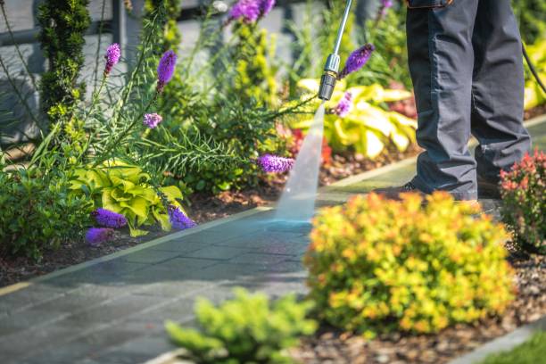 Livingston, CA Pressure Washing Services Company